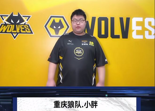 提供替代选